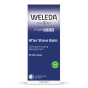 Cardboard packaging for the Weleda men's after shave balm on a white background