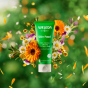 Weleda Skin Food Original formula pictured on a green background surrounded by flowers and botanicals 