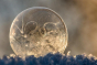 Close up of a frozen bubble made with the Dr Zigs frozen bubble set