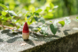 Close up of a Grapat yay open ended wooden play figure stood on a stone wall next to a green leaf