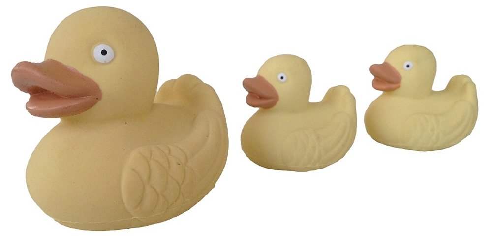 the real rubber duck