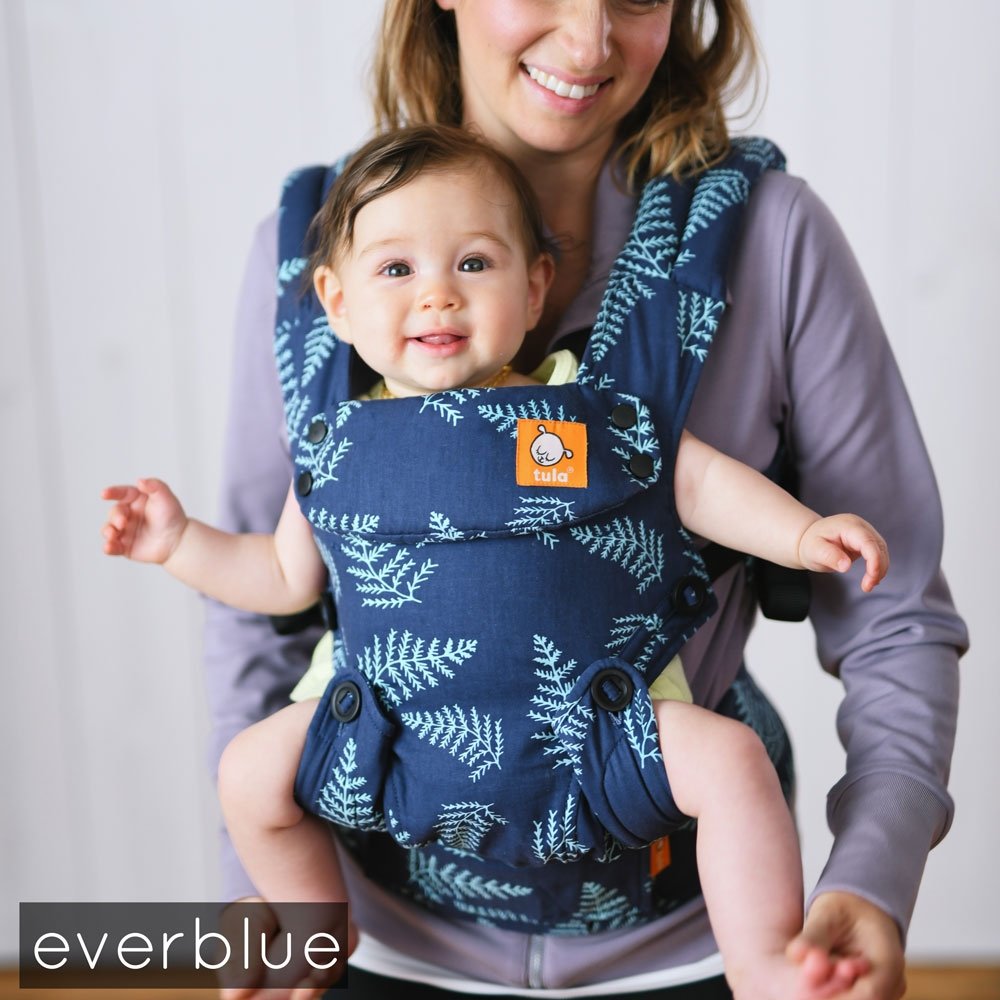 tula backpack carrier