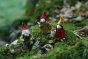 Close up of the handmade plastic free ambrosius dwarf family stood on some moss 