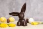 Cocoa Loco fairtrade dark chocolate easter rabbit on a beige worktop next to some mini easter eggs and daffodils