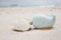 Hevea vanilla turtle and blue whale bath toys on the beach