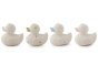 4 oli and carol spotty rubber duck bath toys lined up on a white background