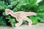 close up of the reel wood eco-friendly anzu dinosaur toy in front of a green plant