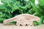 Reel wood eco-friendly wooden ankylosaurus dinosaur figure stood in front of a green plant