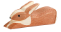 Ostheimer Spotted Brown Rabbit - Lying