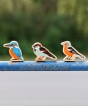 From left to right, Lanka Kade wooden kingfisher toy, lanka kade sparrow toy, and lanka kade chaffinch wodden toy sat outside on a blue metal bar