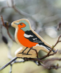 Kanka Kade Wooden Chaffinch Toy, with orange, black and white painted feather details, sat on a dewy tree branch outside 