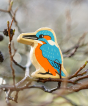 Lanka Kade Wooden Kingfisher toy with painted orange, blue and white feather details, sitting on a dewy branch outside