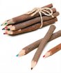 Namaste 10 Twig Pencils
