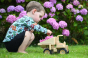 Plan Toys Special Edition Natural Dump Truck