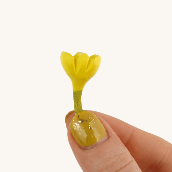 A small and delicate Bumbu Yellow flower being held between a persons finger tips on a cream background