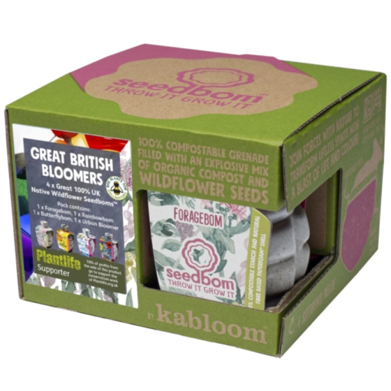 Kabloom Great British Bloomers gift box in packaging. White background