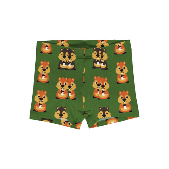 These funky Maxomorra organic boxers for toddlers and children have a cheeky squirrel repeat print on green, great for potty training and beyond. White background.