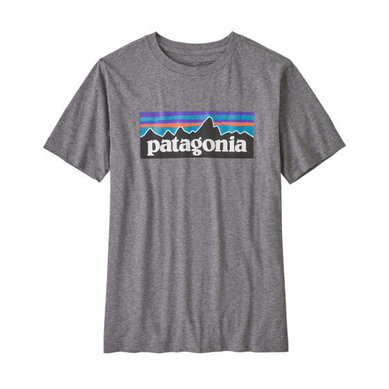 Childrens Patagonia organic regenerative cotton p-6 logo tshirt in the gravel heather colour on a white background