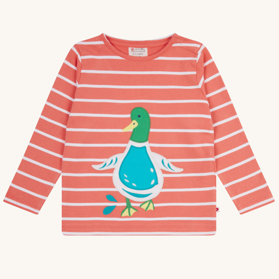 Piccalilly Duck Days  long sleeved Top pictured on a plain background 