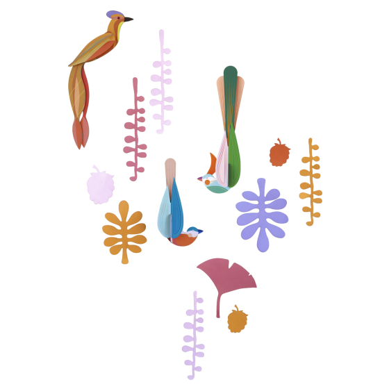Studio Roof plastic-free Paradise Nest card bird wall hangings laid out on a white background