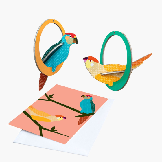 Studio ROOF paradise Bird pop out card in Swinging Parakeets design. Picture shows flat card and pre popped out bird on white background