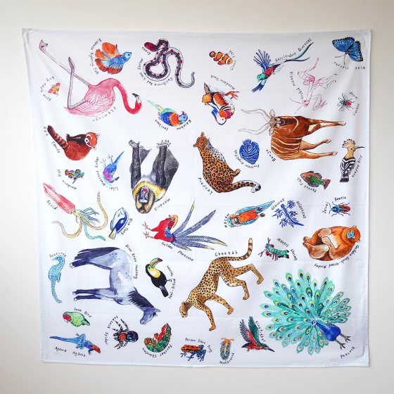 Wonderie sensory play cloth, Kingdom of Rainbow Animals. Beautifully illustrated animals from all over the world which includes a peacock, cheetah, leopard, snakes, and various other animals from the animal kingdom. Printed on a white cloth.