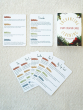 Enchanting Learning Card Prompts and questions to help children (and adults) create their own story. Each prompt card has a question, adjective words, fact, and Introduction to help you begin your very own enchanting story and adventure
